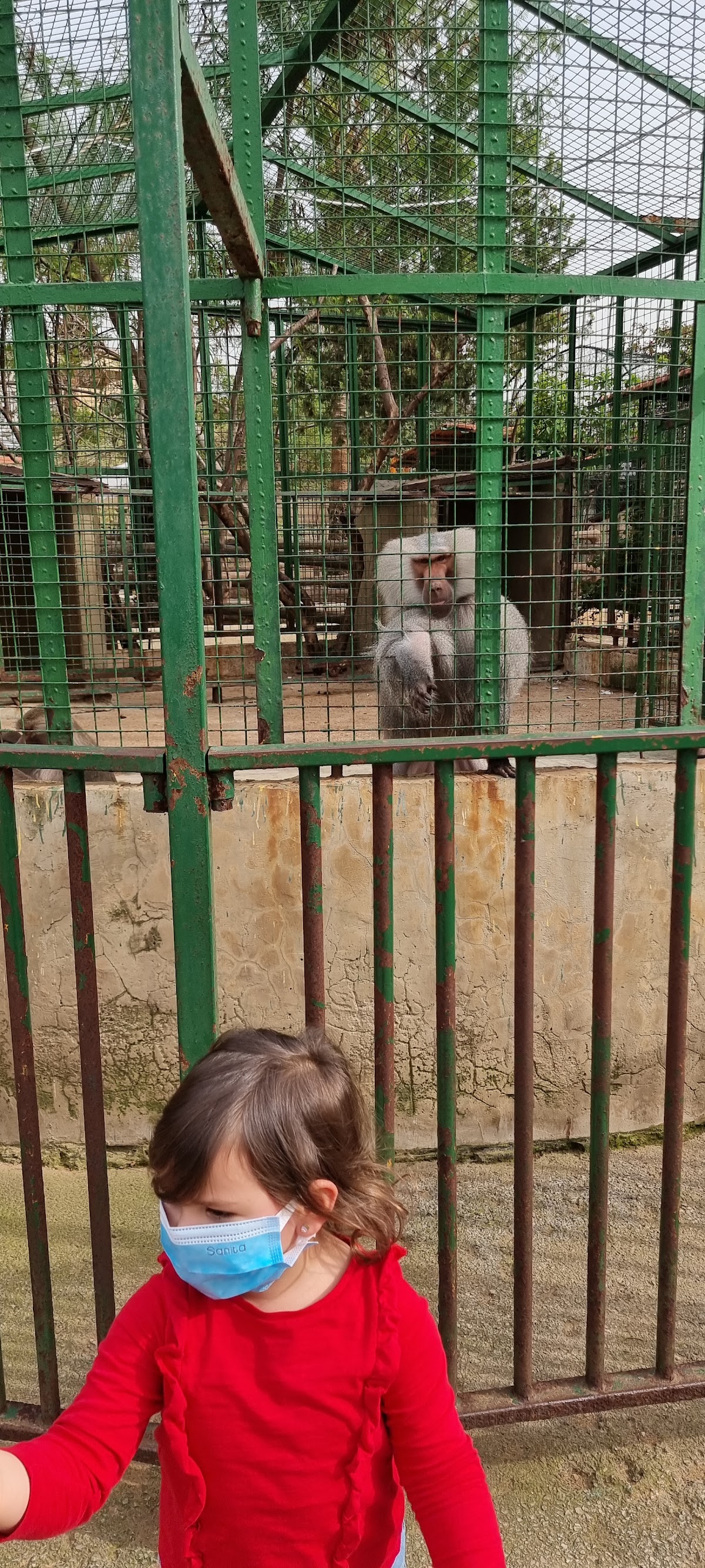 Zazoo City — photograph 3