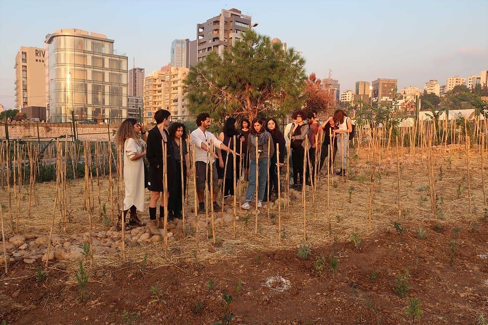 Beirut's RiverLESS Forest - Phase 1