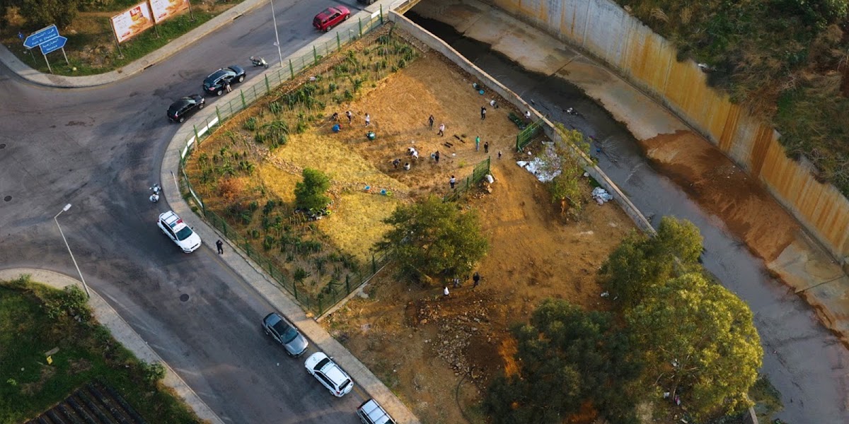 Beirut's RiverLESS Forest - Phase 1 — photograph 3