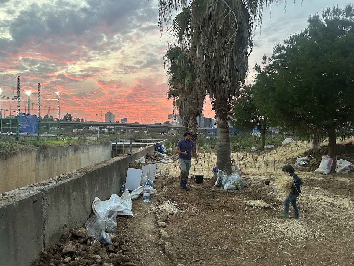 Beirut's RiverLESS Forest - Phase 1 — photograph 4