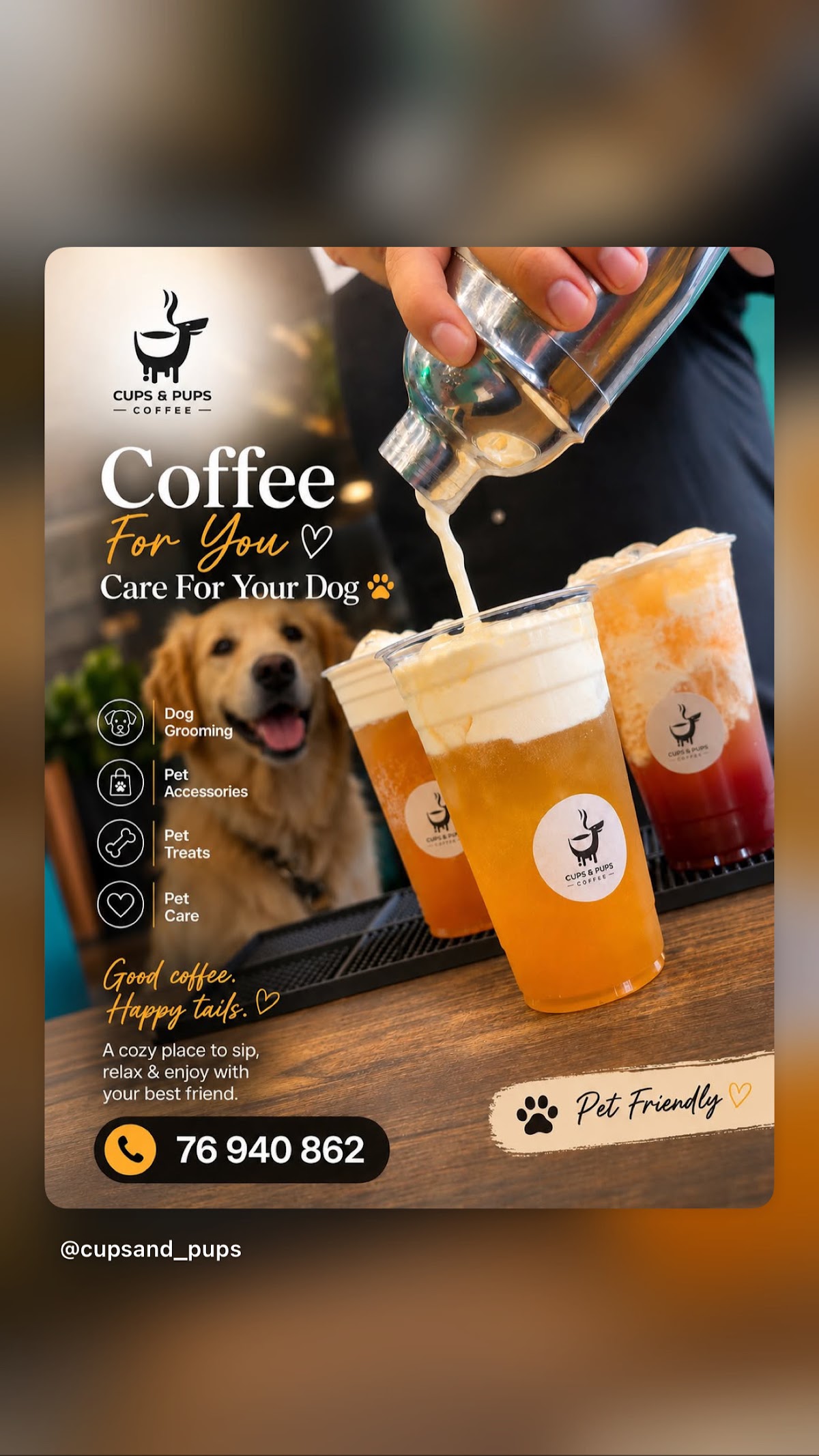 Cups and Pups
