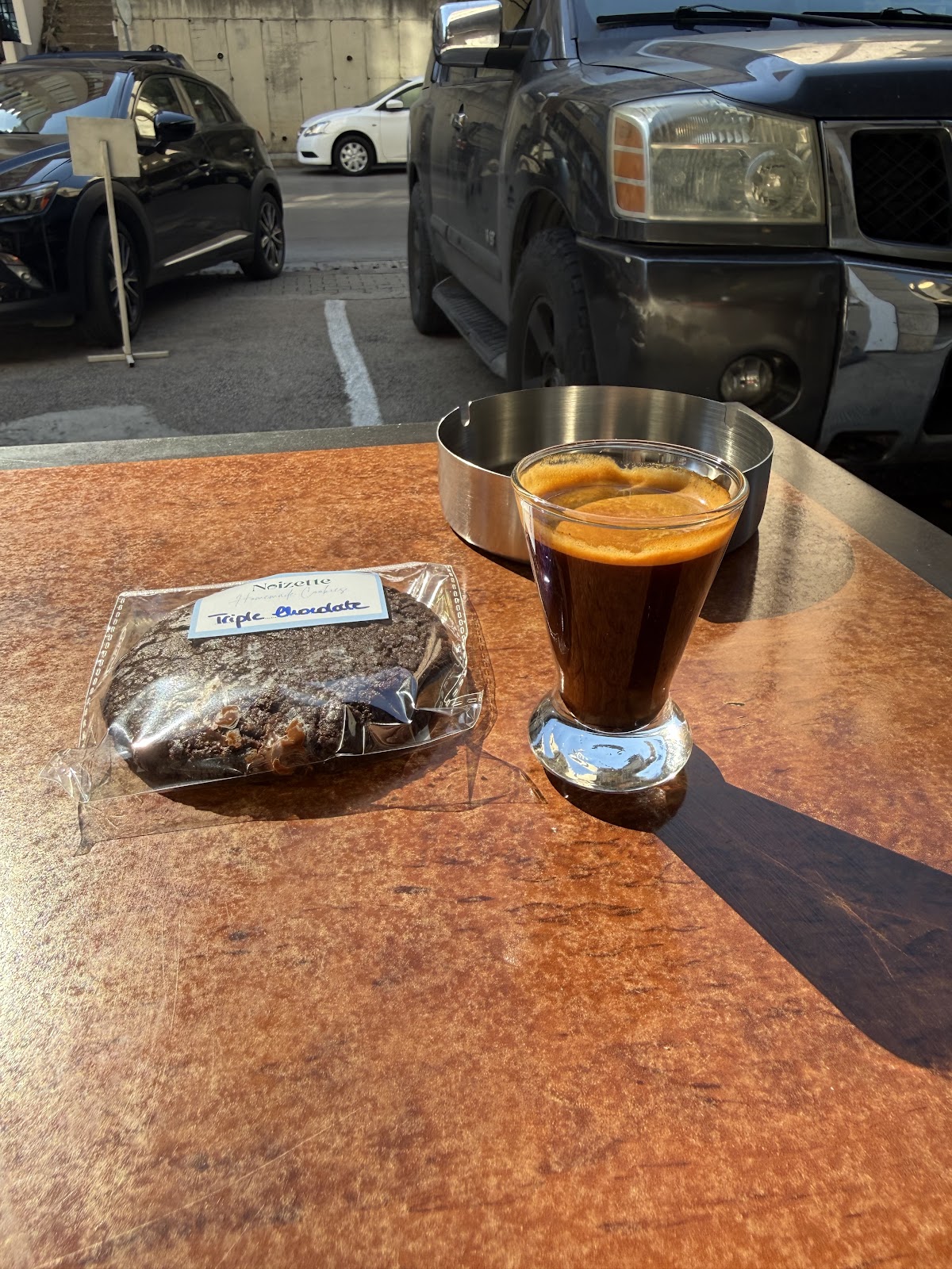 Cups and Pups — photograph 3