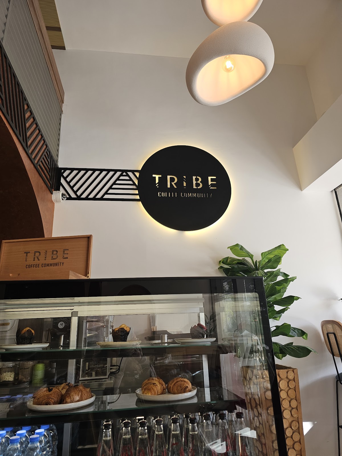 Tribe Coffee Community — photograph 6