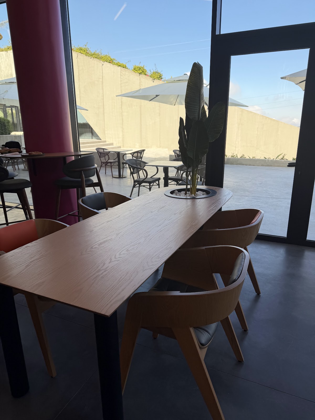 Dunkin' Beit Meri — photograph 6