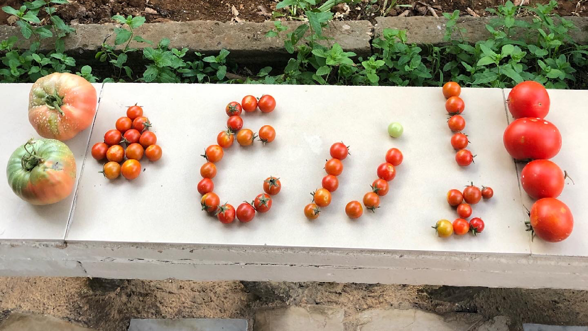 Aude's Garden