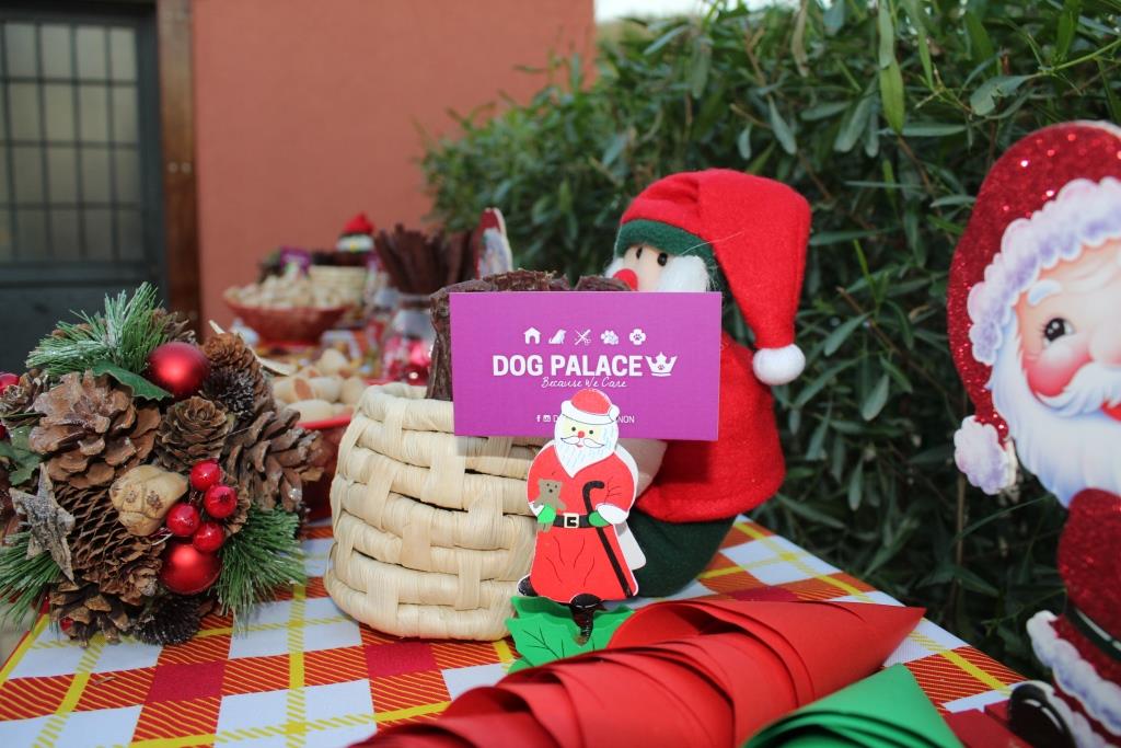 Dog Palace — photograph 6