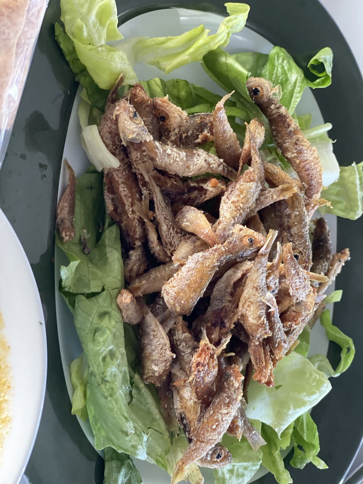 Almanara restaurant — photograph 5