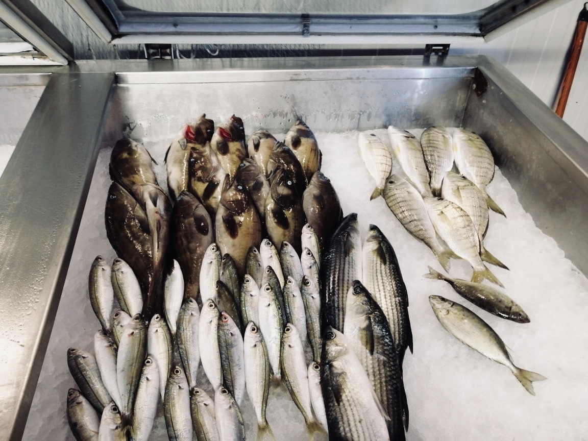 Sidawi Fish & Chips — photograph 6