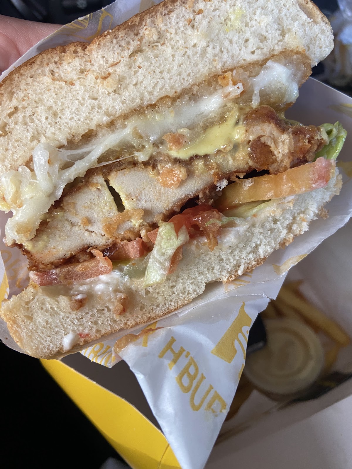 H BURGER — photograph 2