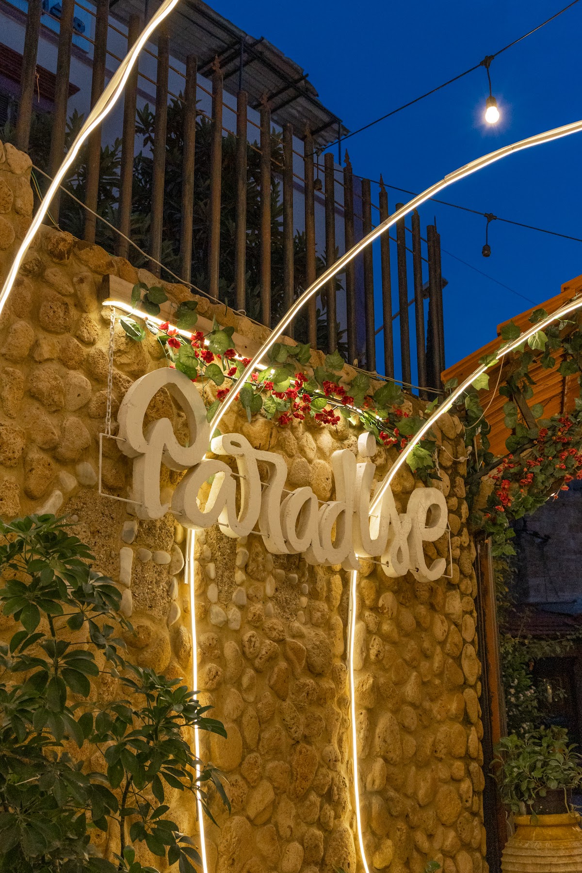 Paradise Café — photograph 5