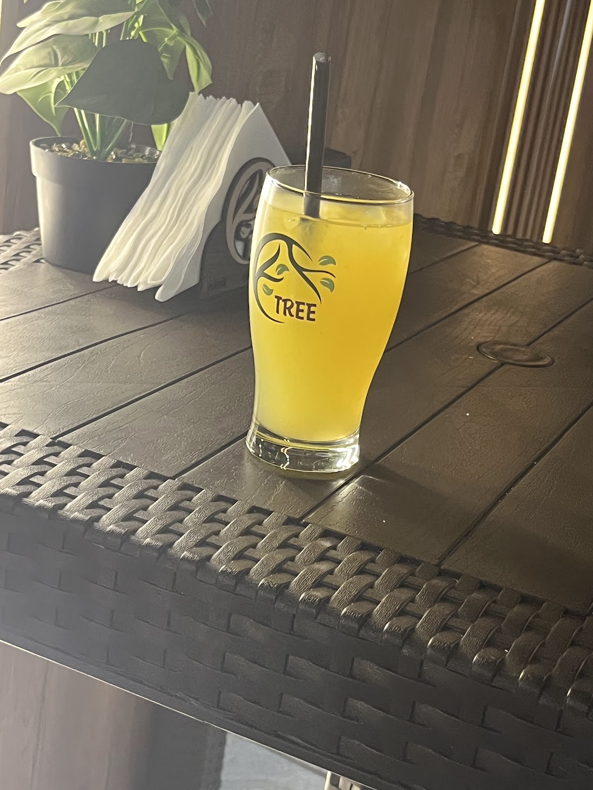 Tree coffee shop — photograph 3