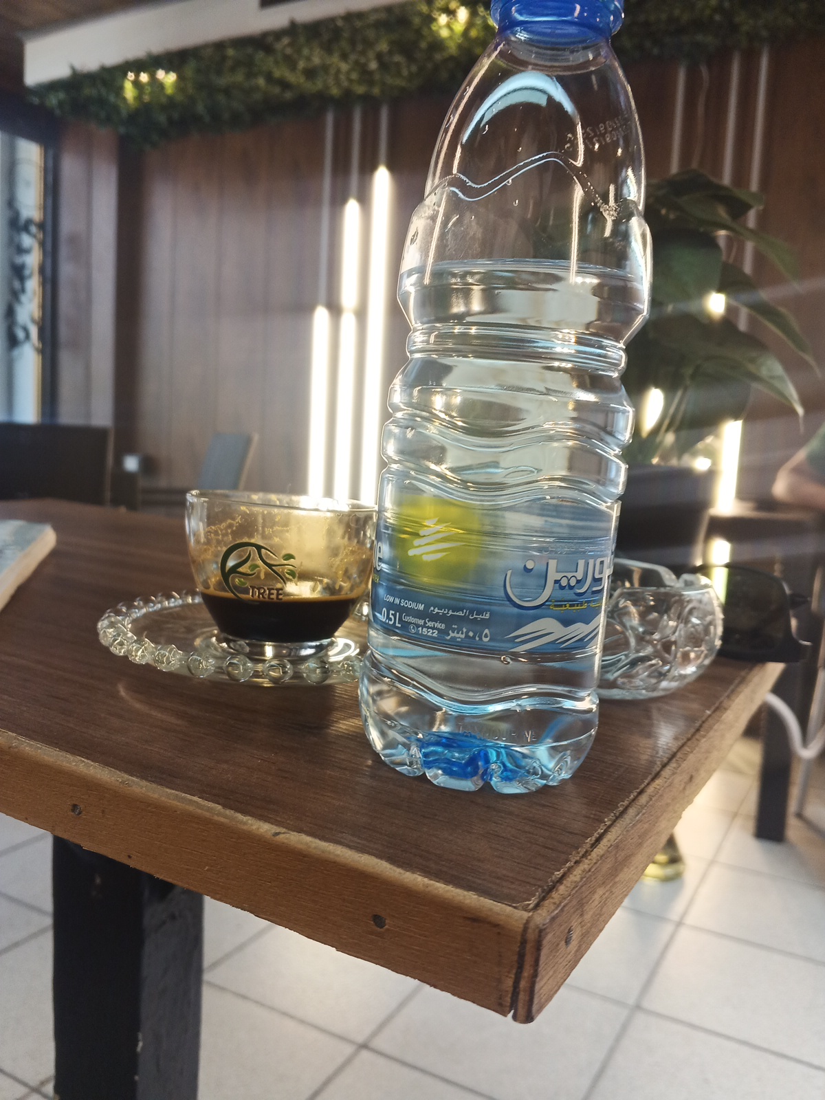 Tree coffee shop — photograph 4