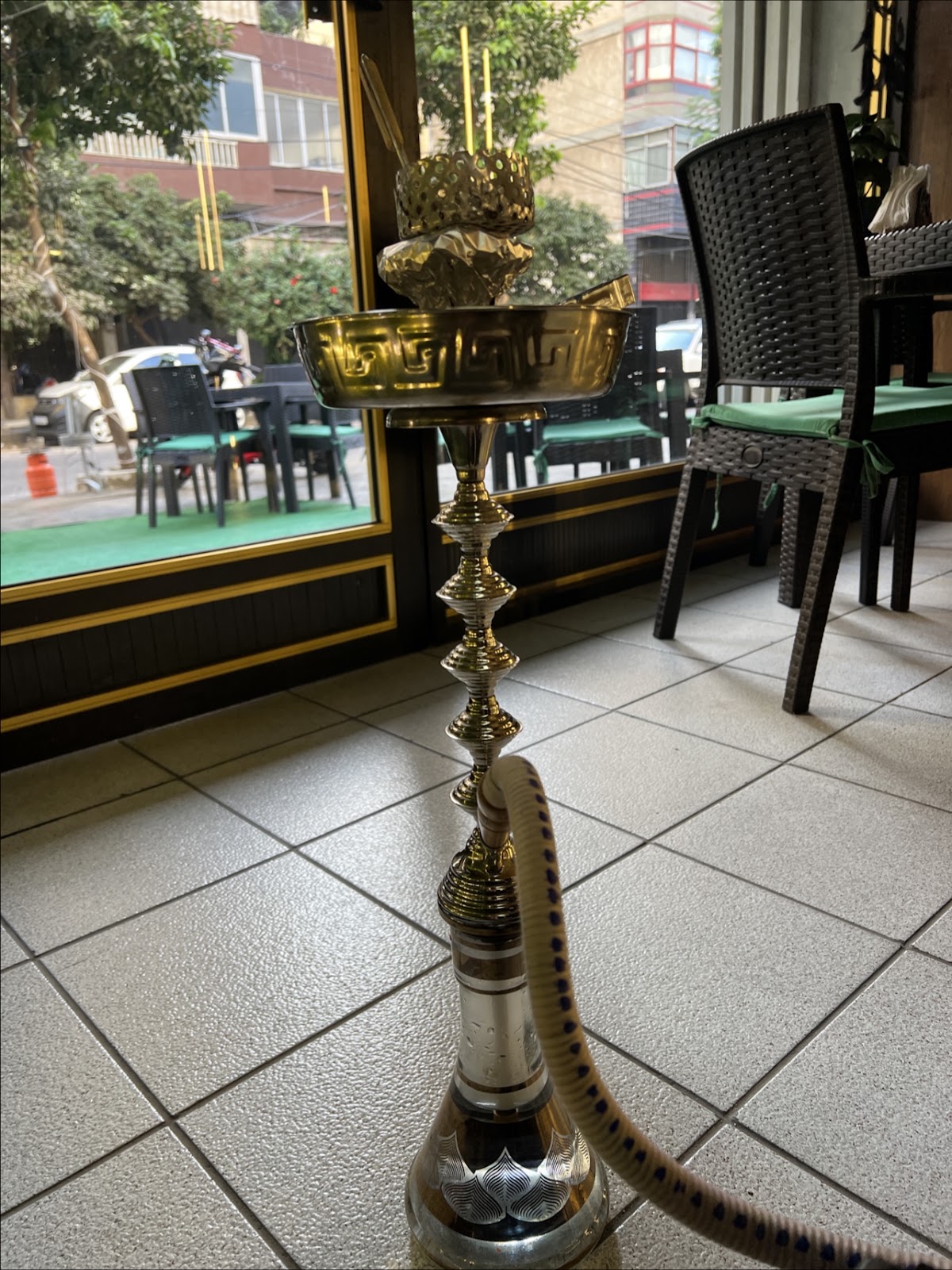 Tree coffee shop — photograph 5
