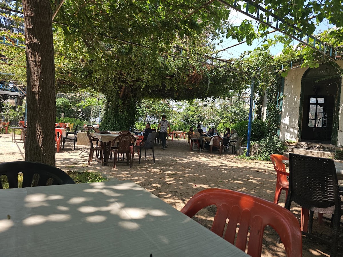 Al Tall Al Olya Café — photograph 3