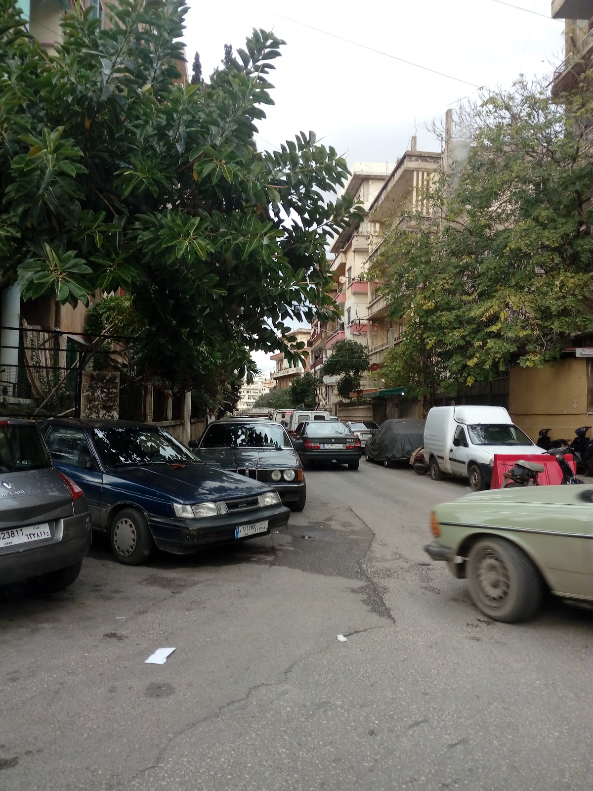 Mazaji Resto Cafe — photograph 2