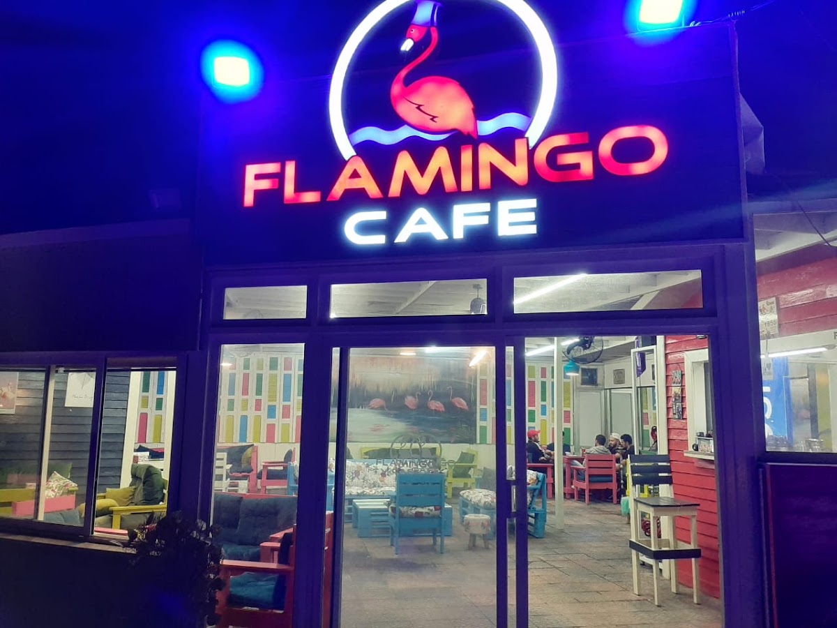 Flamingo — photograph 4