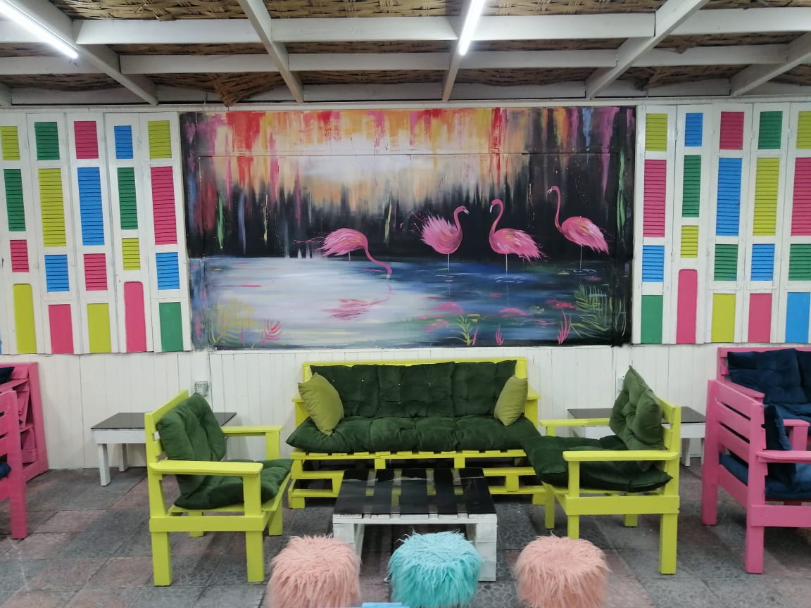 Flamingo — photograph 5