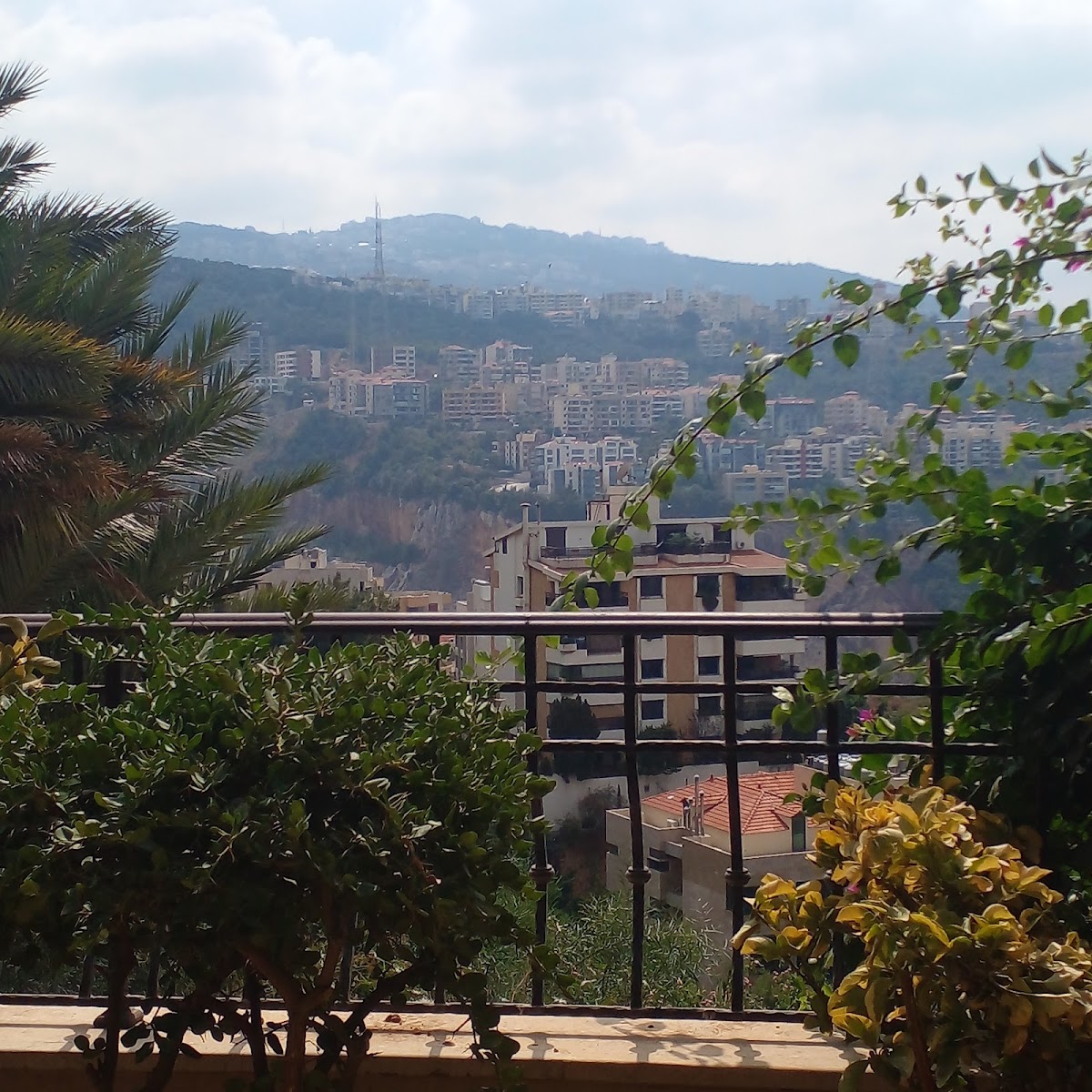 Atyab Manouche — photograph 3