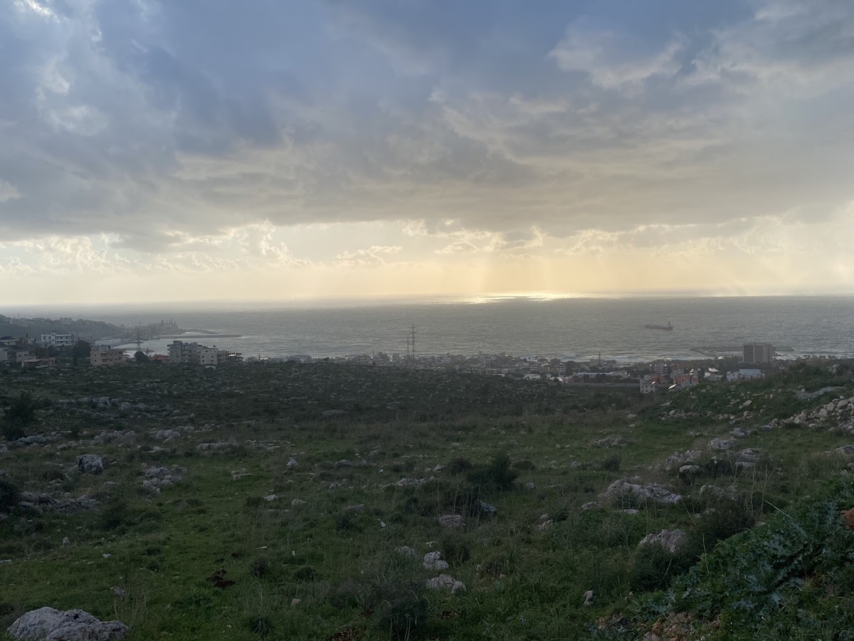 Qahwatna Btehki — photograph 4