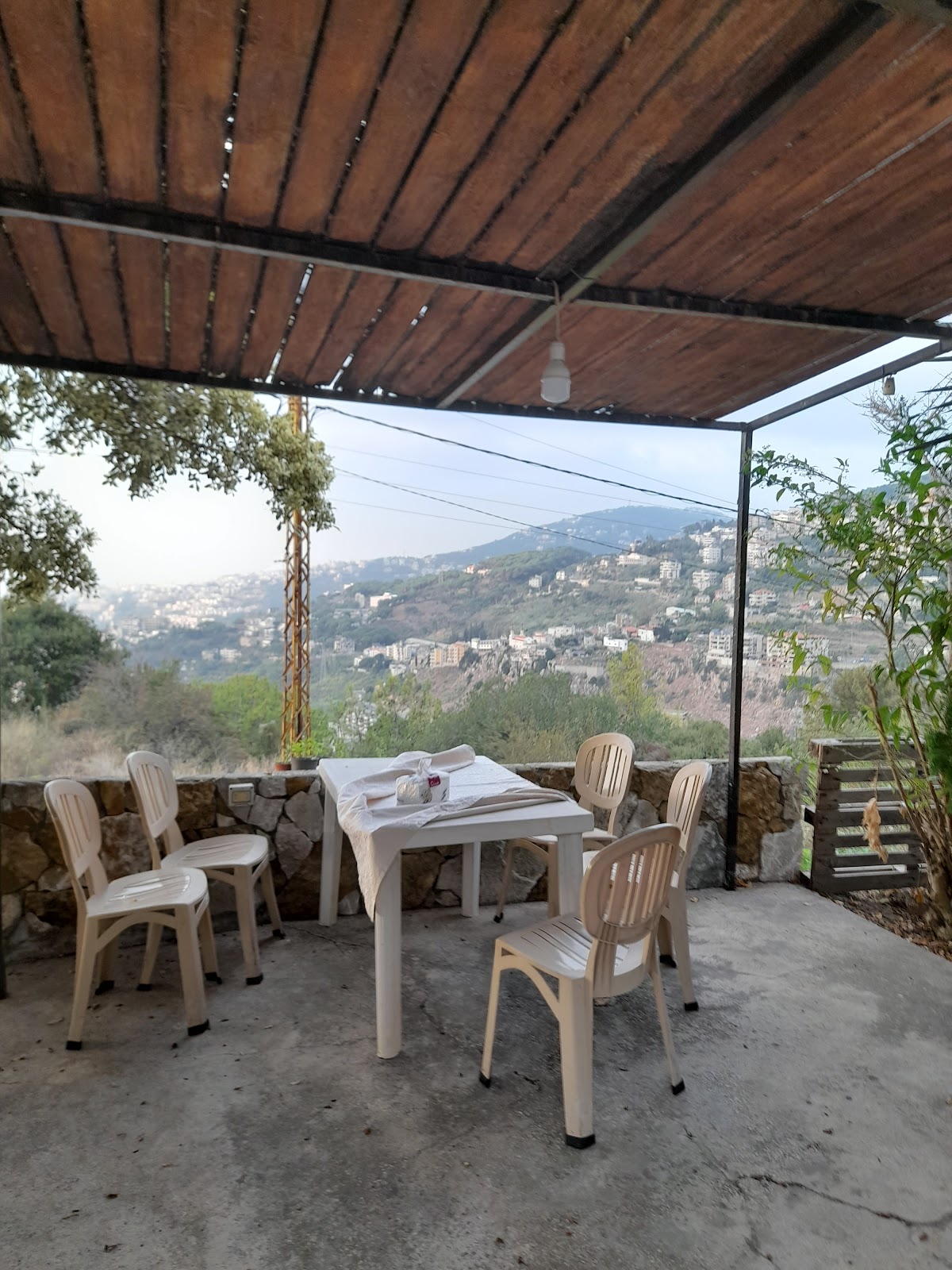 Bee cafe — photograph 2