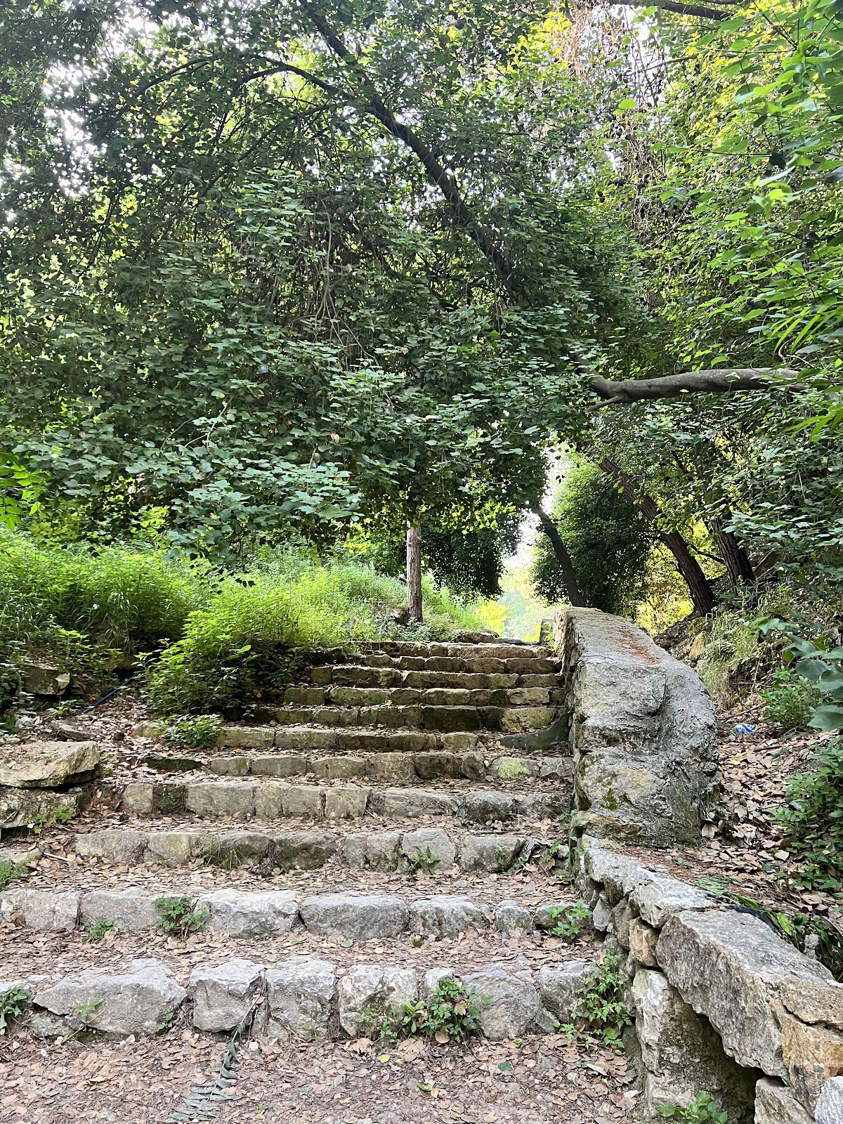Abu Semaan Valley Nature Reserve