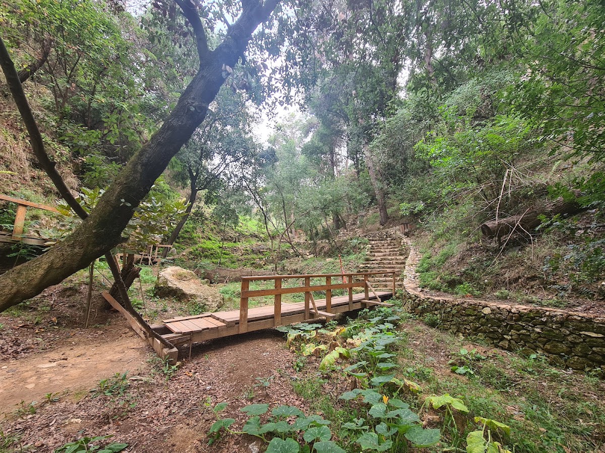 Abu Semaan Valley Nature Reserve — photograph 2