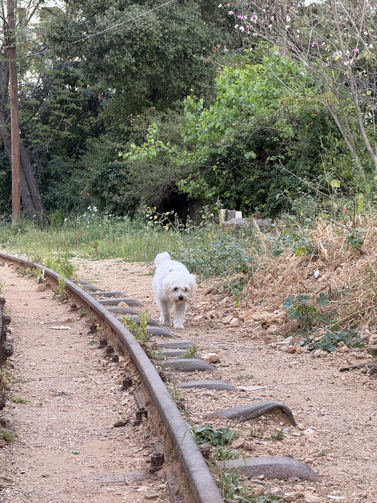 Baabda Railway - Trail 3
