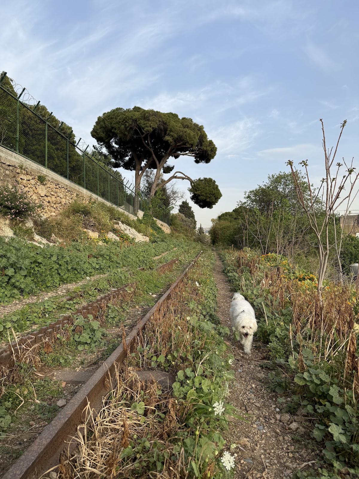 Baabda Railway - Trail 3 — photograph 2