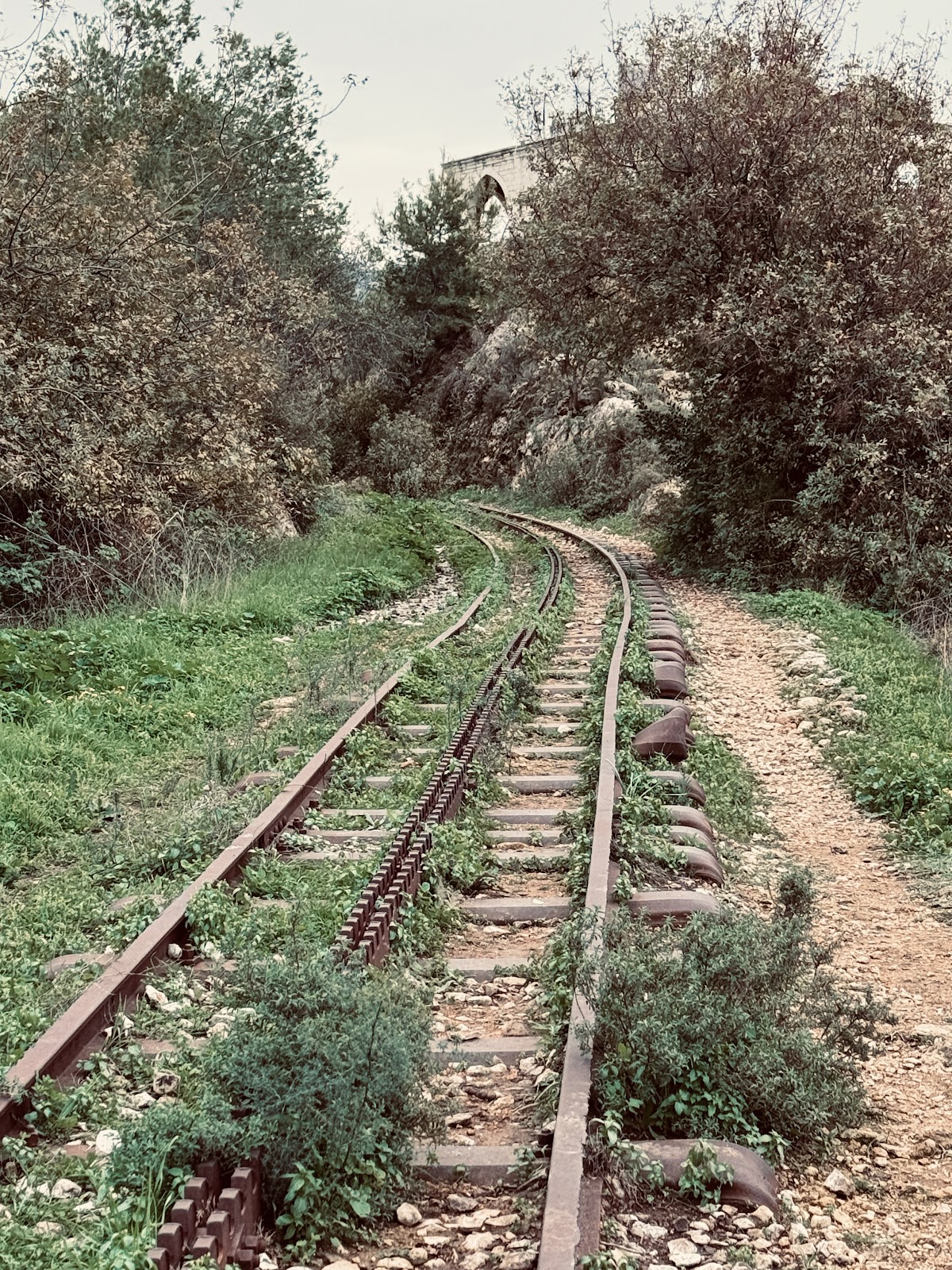Baabda Railway - Trail 3 — photograph 5