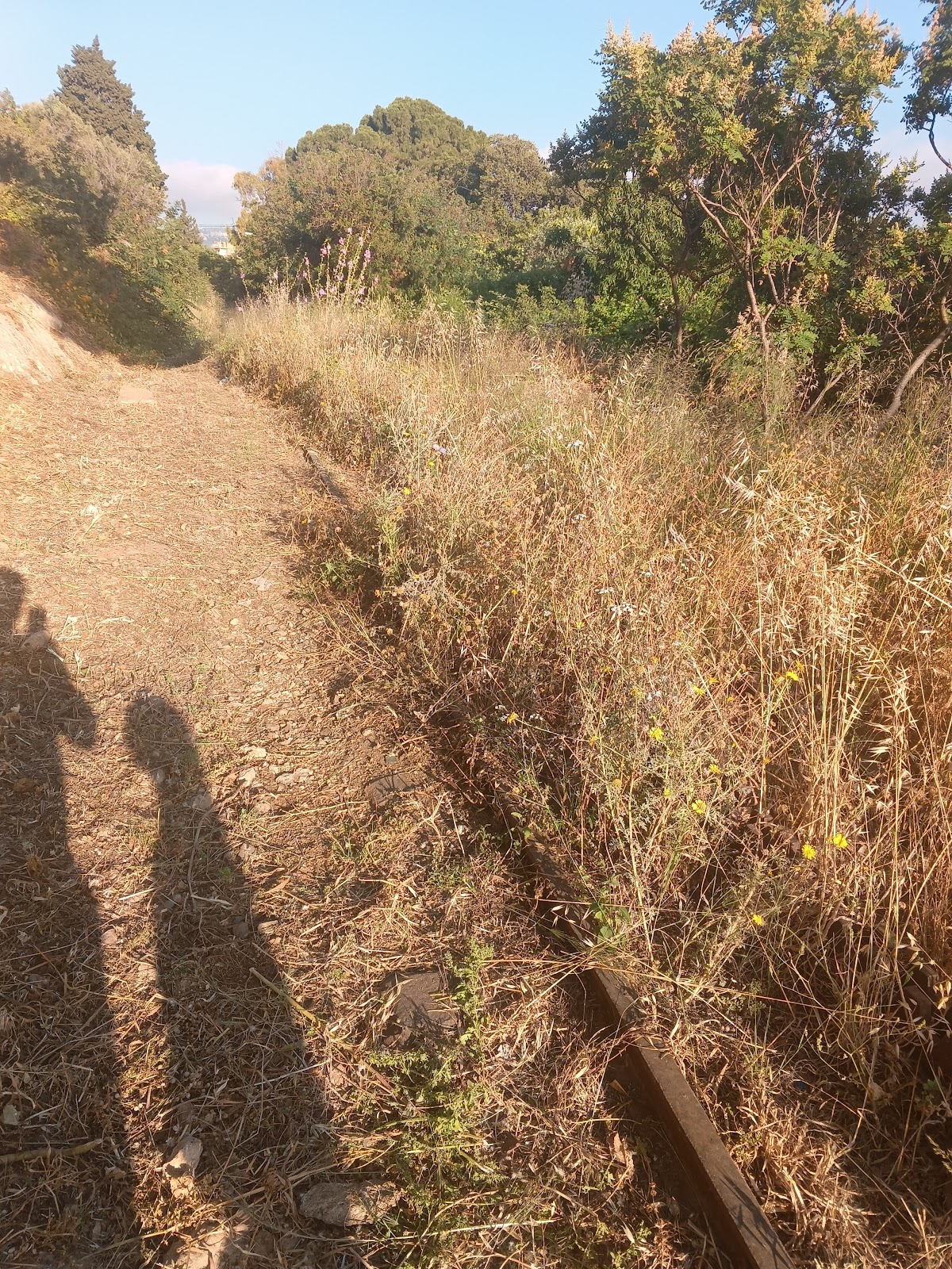 Baabda Trail 4 — photograph 2