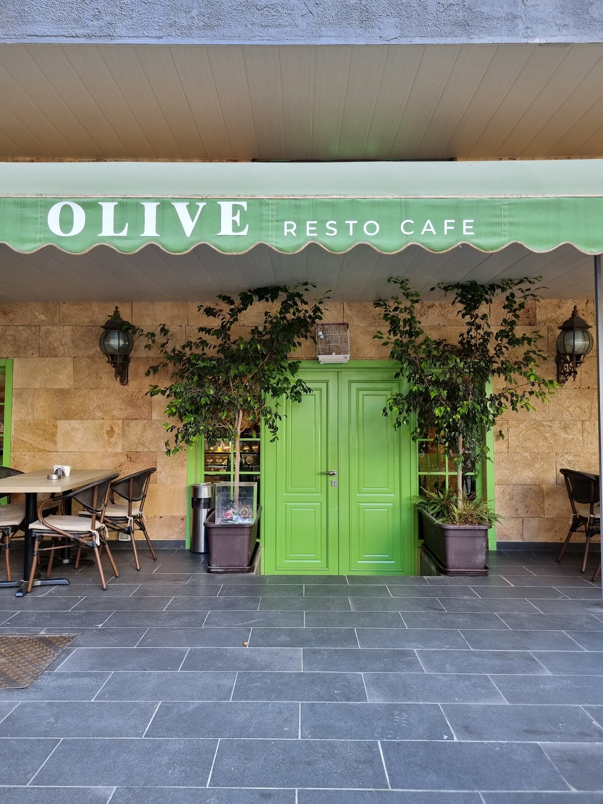 Olive Resto Cafe — photograph 6