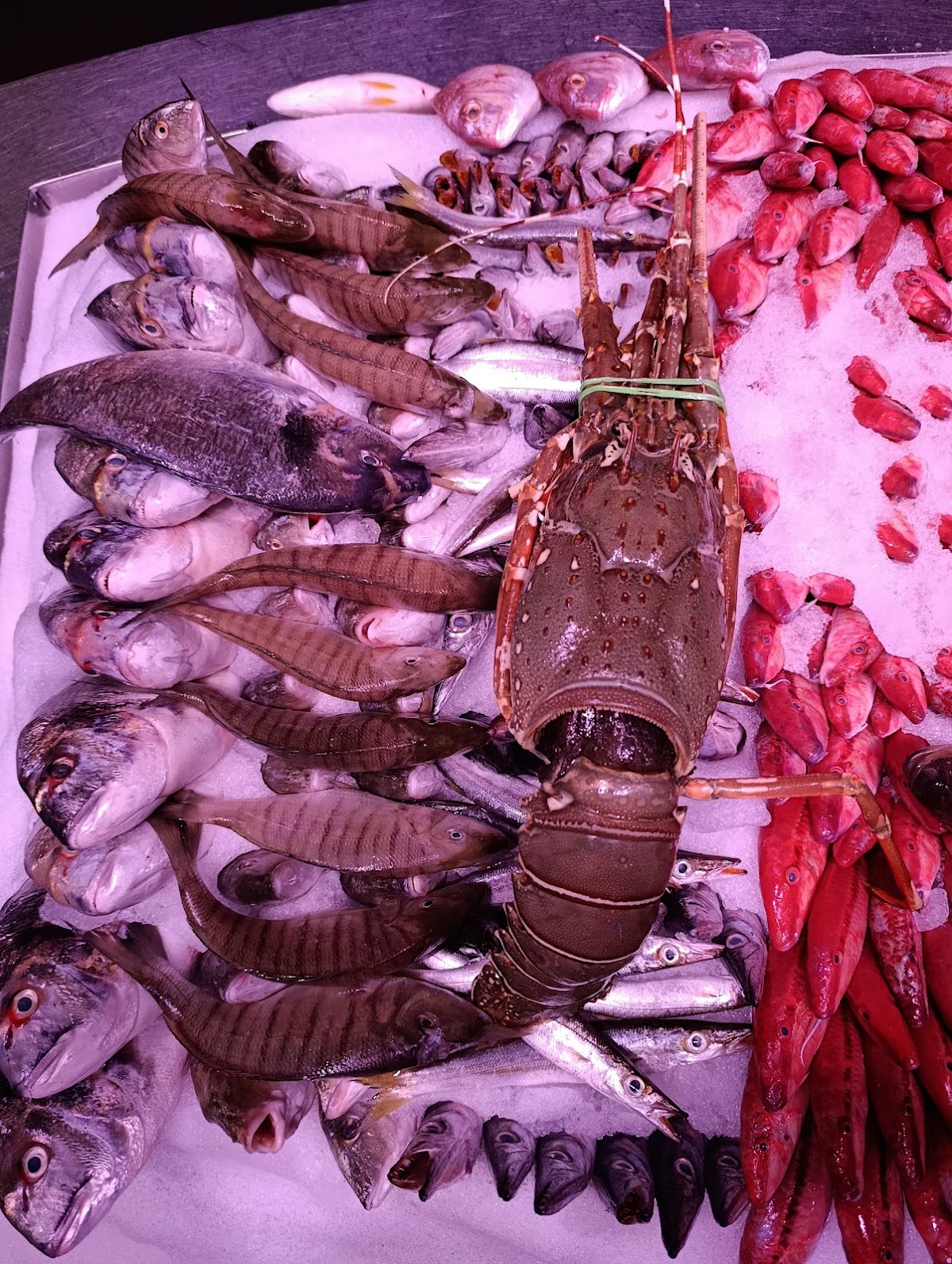 Le Pêcheur — photograph 4