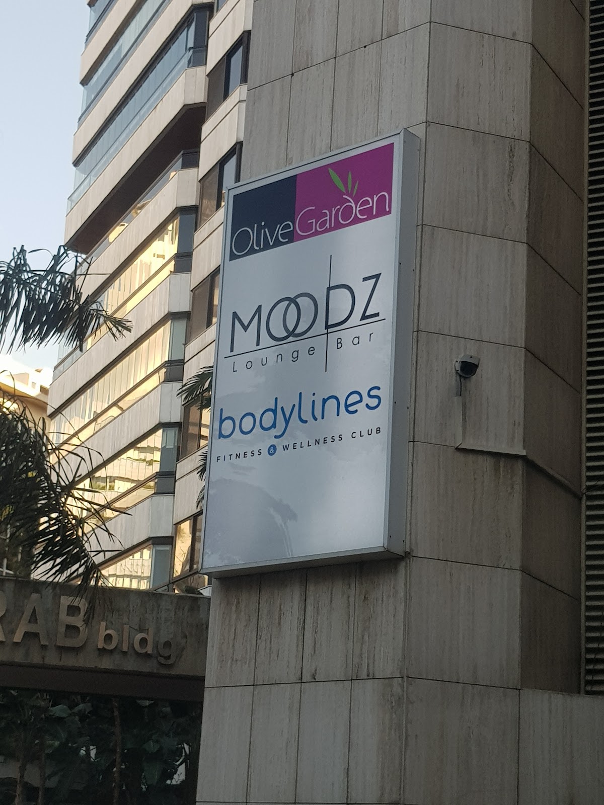 MOODZ Lounge & Bar — photograph 3