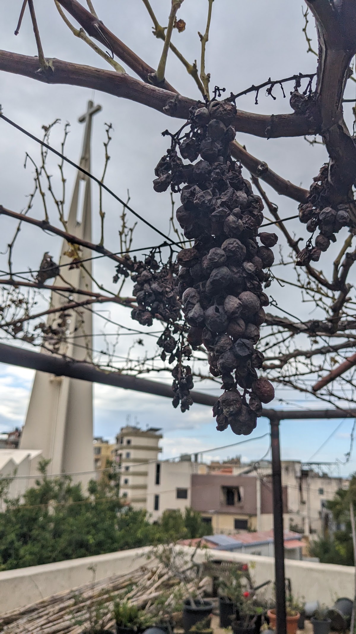 Our Lady Of Hadat Church — photograph 3