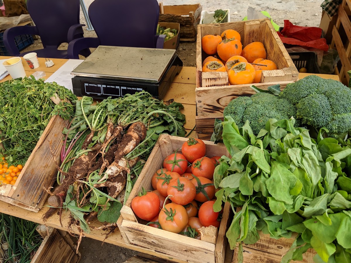 Badaro Urban Farmers Market — photograph 5