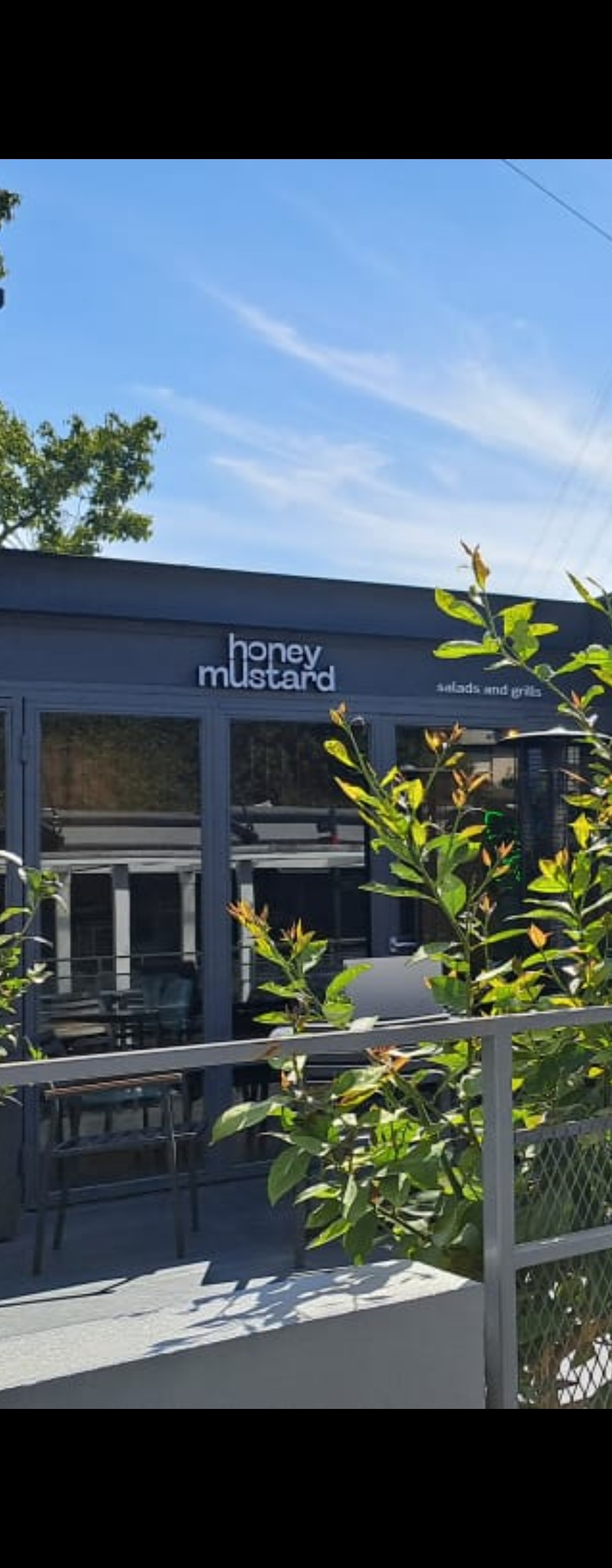 Honey Mustard — photograph 5