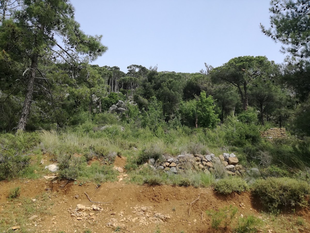 Marbad — photograph 4