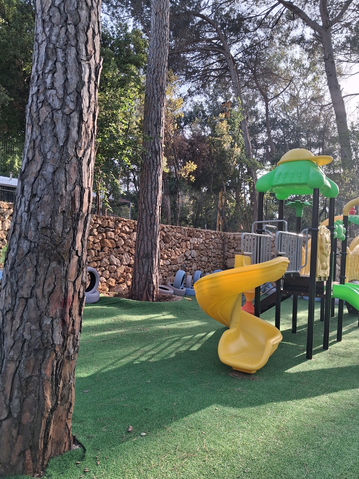 Squirrel's Playground — photograph 3