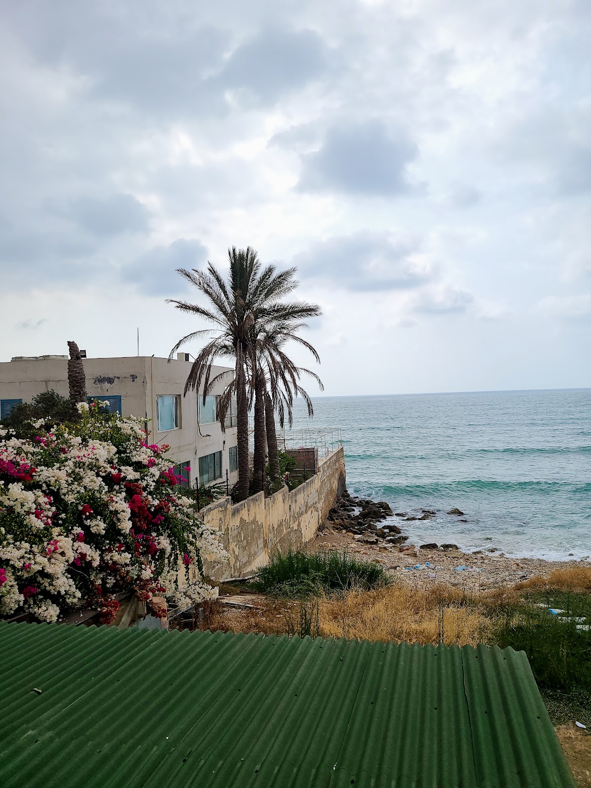 Sayah Restaurant — photograph 4