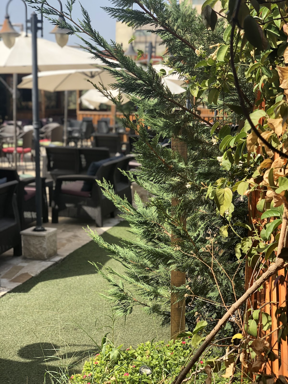 Hookah cafe — photograph 2