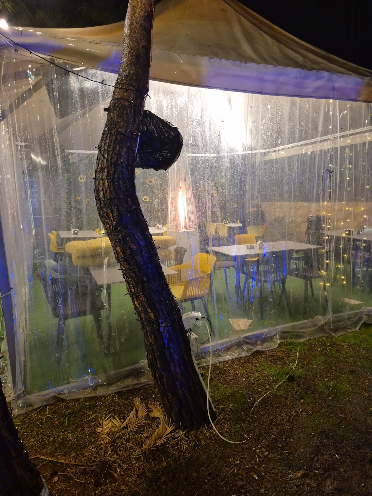 Sunflower Resto, Café — photograph 6
