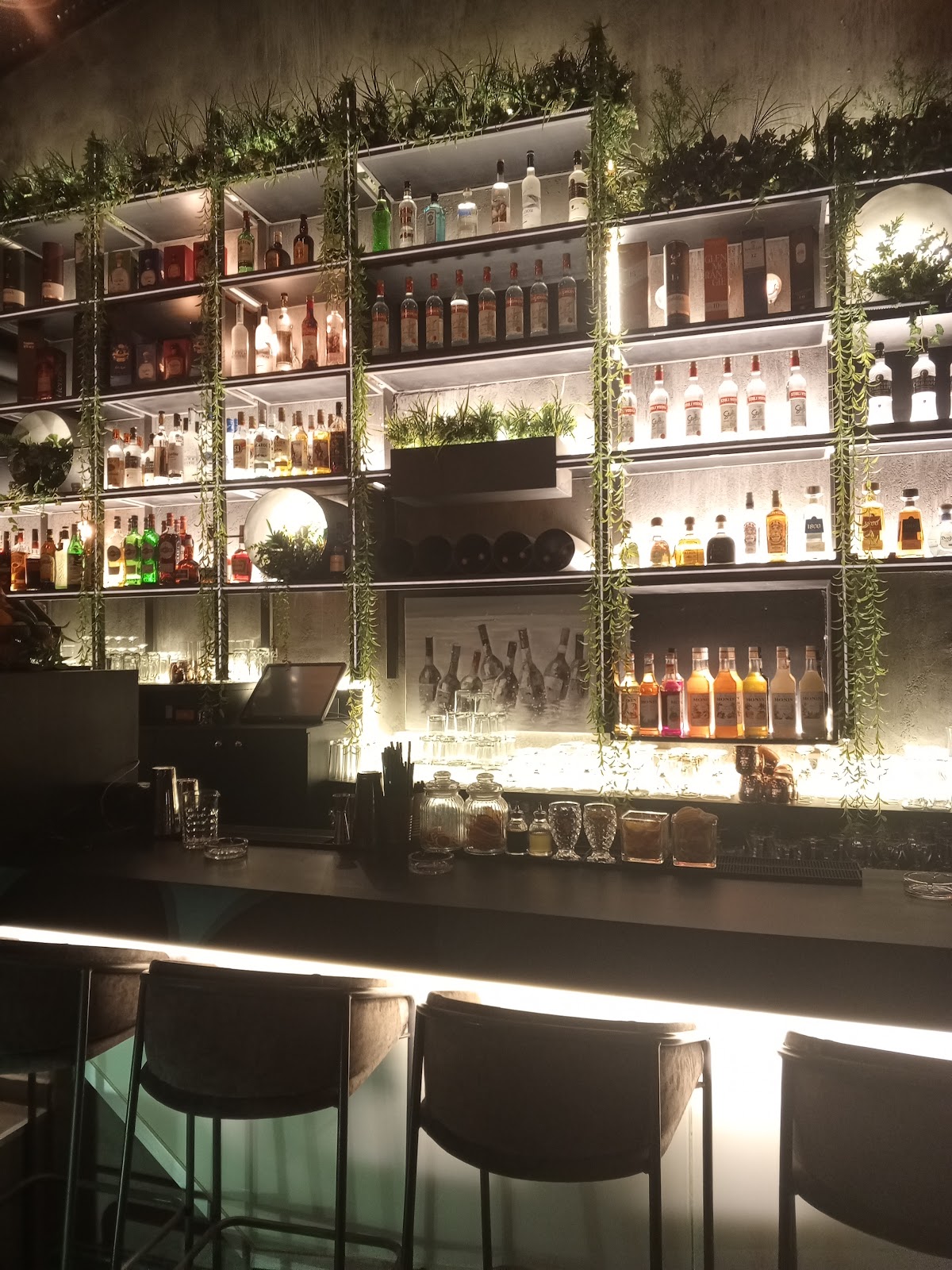 Sips Beirut — photograph 2