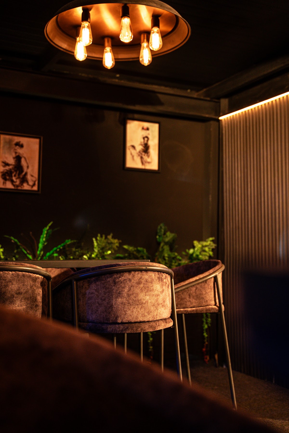 Sips Beirut — photograph 4