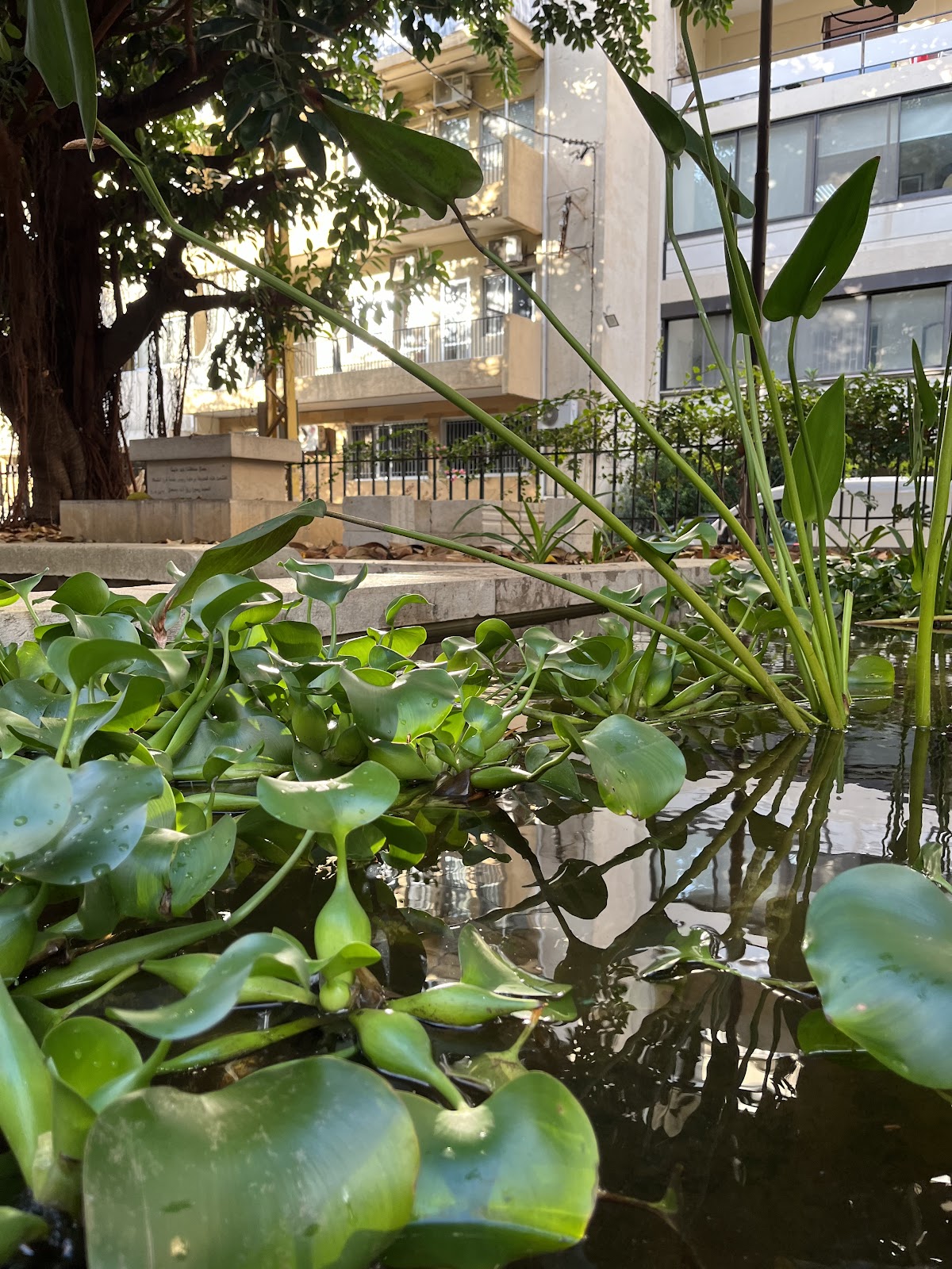 Public Garden Jnaynet Ahl El Dar — photograph 2