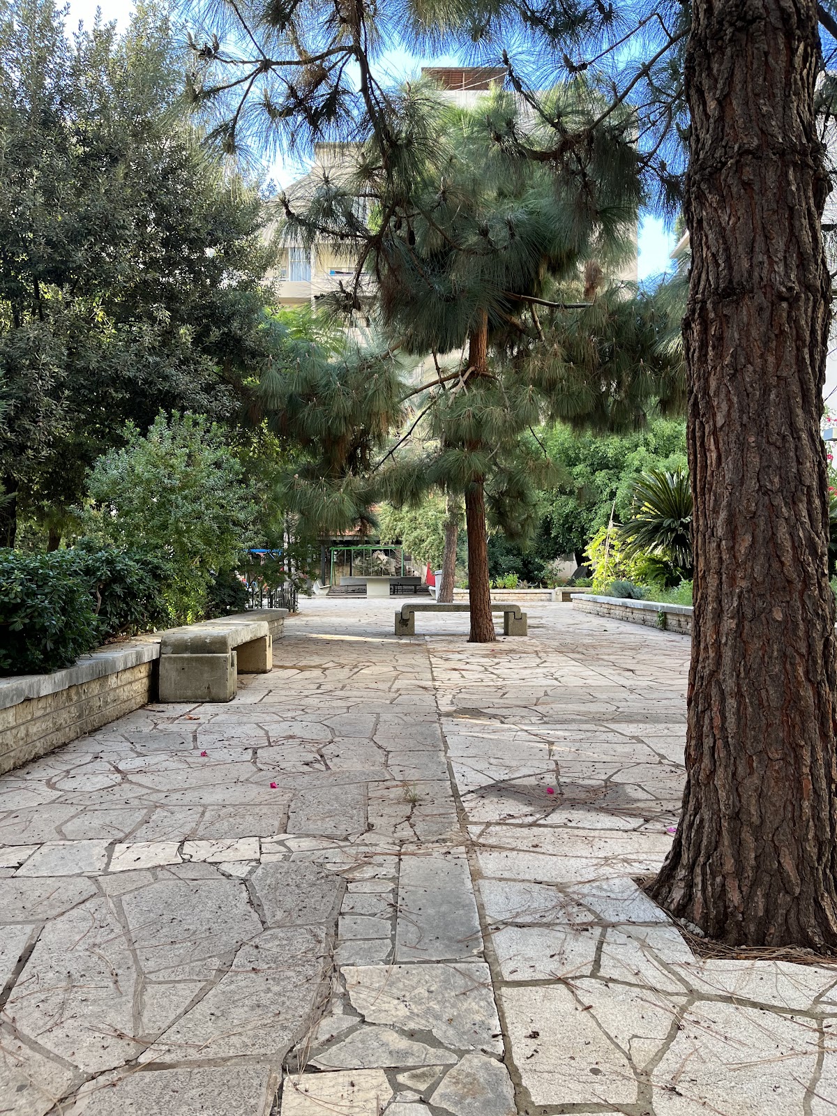 Public Garden Jnaynet Ahl El Dar — photograph 3