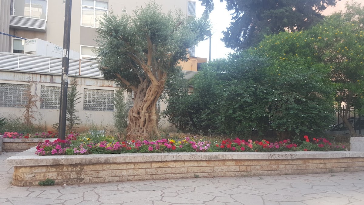 Public Garden Jnaynet Ahl El Dar — photograph 4