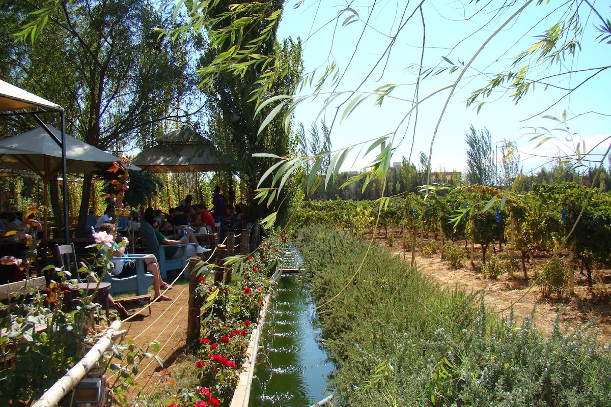 Massaya Lebanese Winery Tanaïl Bekaa Lebanon — photograph 2