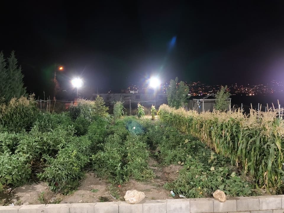 ديوان فاروق الميس