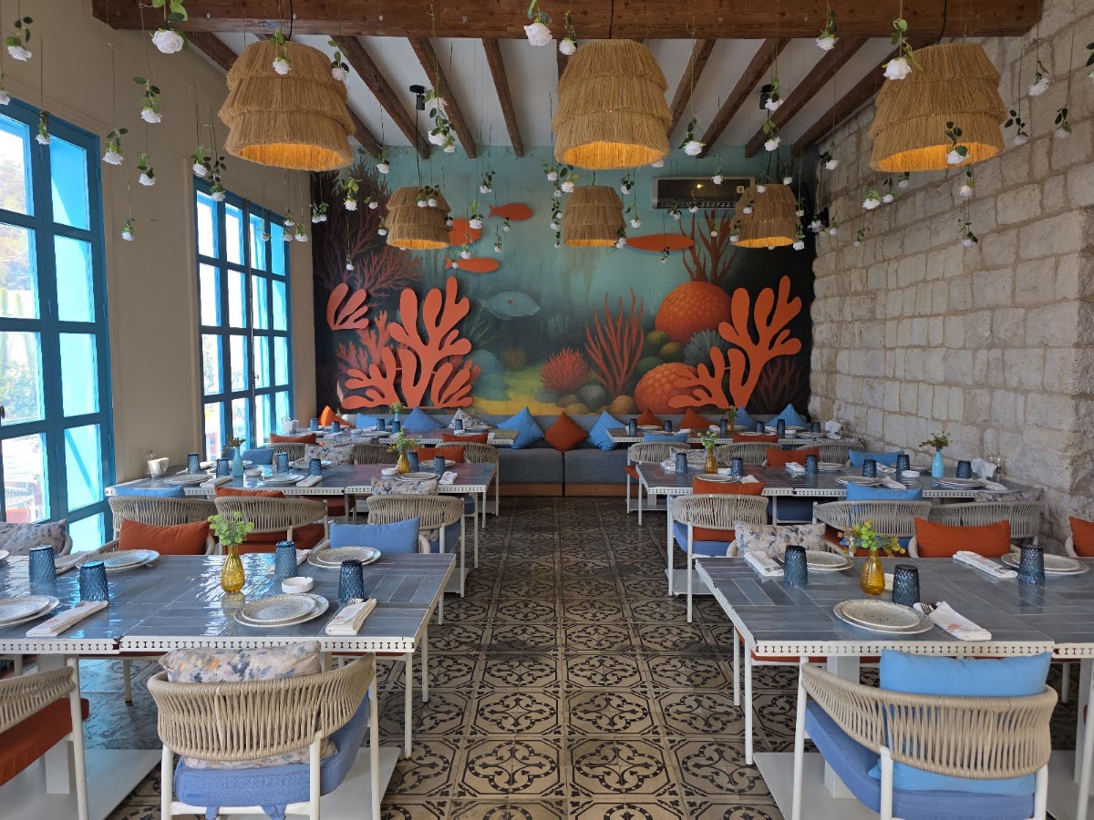 Kyma Restaurant — photograph 4