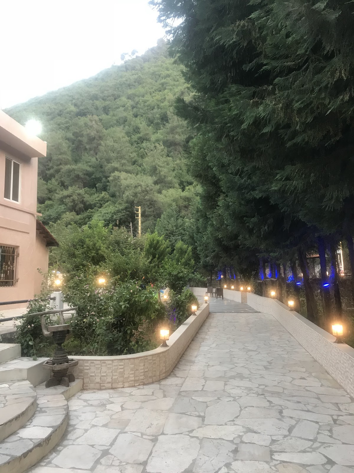 Amir palace restaurant — photograph 3